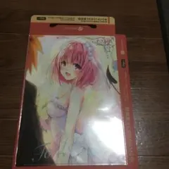 2025年最新】toloveる クリアファイルの人気アイテム - メルカリ