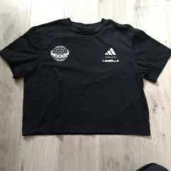 Item thumbnail for item 1c7769a3-246f-46c5-8a3e-f9b72ea05df3