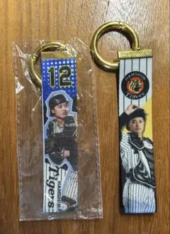 阪神タイガース　坂本誠志郎 セット