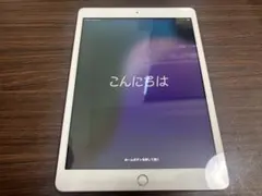 Apple iPad 第7世代 128GB (A2197/Wi-Fi) おまけ有