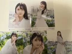 Item thumbnail for item 1df8f406-0ac4-48a0-9960-fdd6272eed09