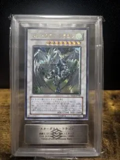 遊戯王 スターダスト・ドラゴン ブラック・ローズ・ドラゴン レリーフ