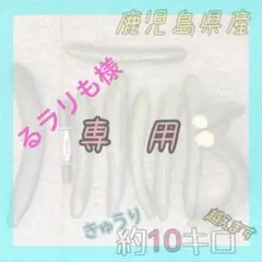 るラリも様専用　⑥10キロ