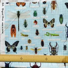 Item thumbnail for item b8542dcd-5b3b-4853-8896-4f092c2474af