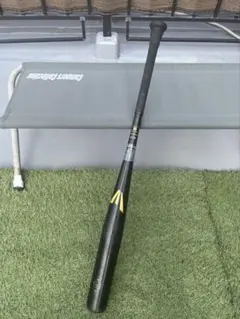 Item thumbnail for item 3a323301-1a8e-471a-8373-9c18a91e6093