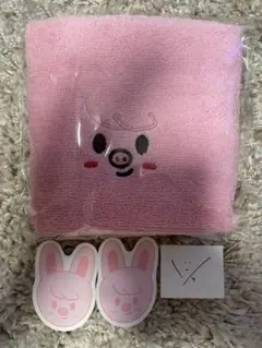 Stray Kids ペンミ 入場特典　タオル　トゥェッキ チャンビン