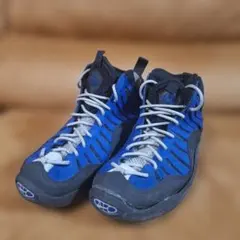 NIKE　エアベイキン　AirBakin　販売中止モデル　鑑賞用　96年