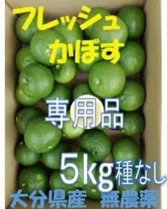 ゆしゃはまさまご予約専用 大分県名産 フレッシュかぼす 5kg 種なし