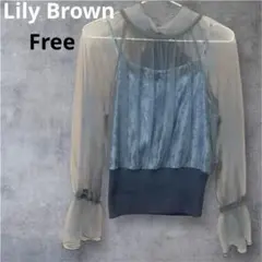 ❤️ラスト価格❤️リリーブラウン　シースルー　ウェディング　リゾート　ブルー系