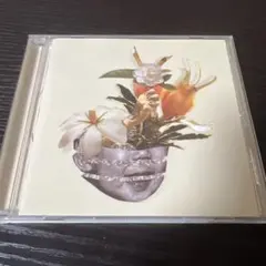 KOHH『梔子』初回限定盤CD☆帯付美品 2026年最新】梔子 KOHHの人気アイテム - メルカリ