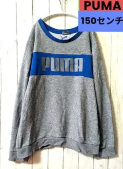 プーマ150センチスウェットトレーナー長袖子供冬服キッズ
