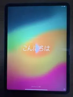 Apple iPad Pro 第三世代 11インチ 512GB 値下げ〇