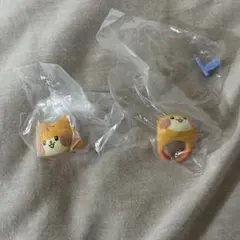 ゼロニ zeroni ビニニ ハンビン ガチャガチャ リング ゼベワン