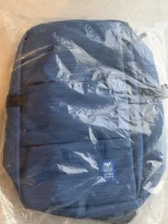 Item thumbnail for item ccfda66e-17dc-4227-a666-0b19063d2352