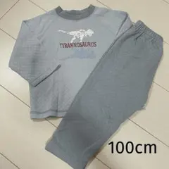 100cm キルトパジャマ　恐竜