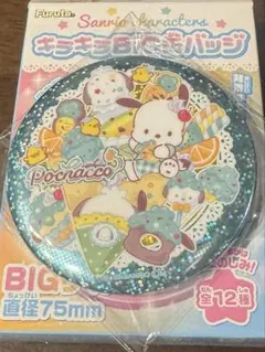 キラキラBIG缶バッジ ポチャッコ