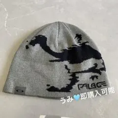 2026年最新】PALACE oakley ビーニーの人気アイテム - メルカリ