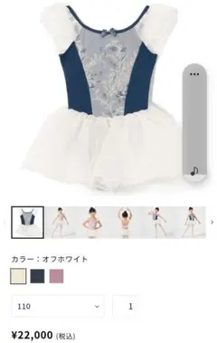 2026年最新】チャコットレオタード120の人気アイテム - メルカリ