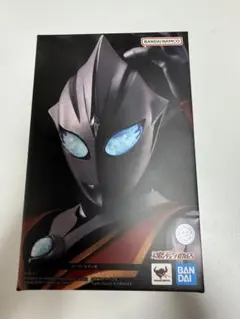 S.H. フィギュアーツ 真骨彫製法　イーヴィルティガ