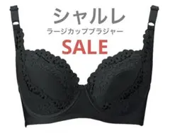 2026年最新】シャルレ+ブラジャーの人気アイテム - メルカリ