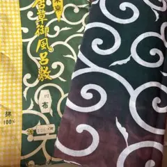 Item thumbnail for item ed0030ff-b637-4ba6-9417-4d2a38180955