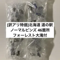 2025年最新】131駅ピンズの人気アイテム - メルカリ