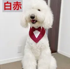 チャチャ様 リクエスト 2点 まとめ商品