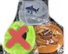 Item thumbnail for item 41229bc5-9984-455b-9c69-c82aab9a6fdd