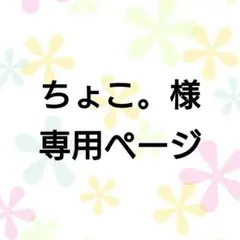 458 ちょこ。様 専用ページ 【内容をご確認の上ご購入ください♡】