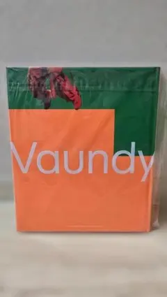 Vaundy VAWS premium photo book #02