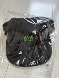 Item thumbnail for item e0e7a15c-6d20-4a78-a5ff-251c0fa8c67b