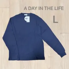 A DAY IN THE LIFE ワッフルカットソー　クルーネックT Lサイズのサムネイル