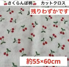 Item thumbnail for item 8bc5d47c-075e-40f1-b1be-a49dee6a7244