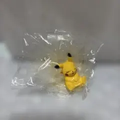 ポケモン おやすみフレンズ なかよくとうと ピカチュウ