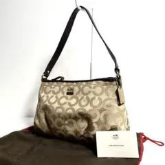 【超美品✨】コーチ ワンショルダー 肩掛け アクセサリーポーチ シグネチャー