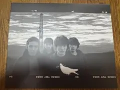 Mr.Children/CONCERT TOUR 1999