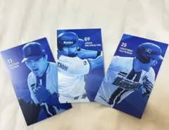横浜DeNAベイスターズ 選手カード 3枚セット