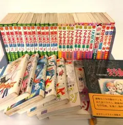 竹宮恵子 風と木の詩・ファラオの墓・その他全巻21冊セット - メルカリ