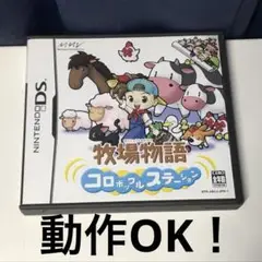DS ソフト 牧場物語 コロボックルステーション