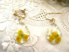 ミモザ レジン イヤリング or ピアス（大）
