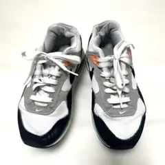 [ナイキ] エア マックス コリレート 洗浄済