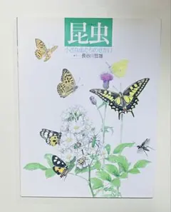 昆虫 小さな虫たちのせかい 長谷川哲雄 絵本図鑑