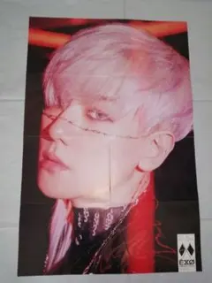 2026年最新】exo ポスターの人気アイテム - メルカリ