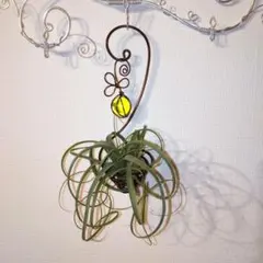 ワイヤークラフト エアプランツホルダーS ブラウン黄 サンキャッチャー