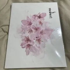 SnowMan 滝沢歌舞伎ZERO FINAL パンフレット