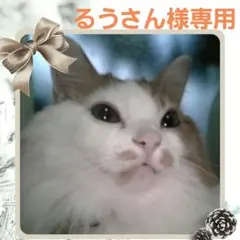 るうさん様専用＊マグネット羽織紐＊オーダー