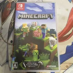 Minecraft Switch