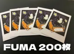 &TEAM Back to life FUMA 200枚