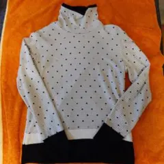 Item thumbnail for item e19d4c0e-3ab3-45b0-8b94-4786bb941e1f