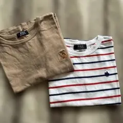 POLO Tシャツ 2枚セット（ベージュ・ストライプ）